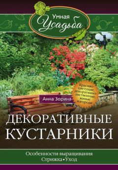 Анна Зорина - Декоративные кустарники - Читать 📖 Читать онлайн 👀 Читаемые книги читать онлайн бесплатно 🔥 booksread-online.com