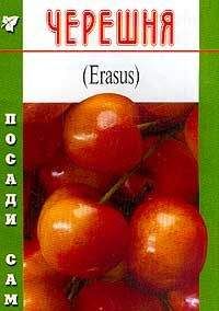Владислав Фатьянов - Черешня - Читать 📖 Читать онлайн 👀 Читаемые книги читать онлайн бесплатно 🔥 booksread-online.com