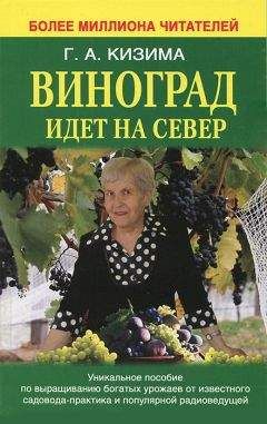 Галина Кизима - Виноград идет на Север - Читать 📖 Читать онлайн 👀 Читаемые книги читать онлайн бесплатно 🔥 booksread-online.com