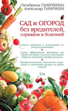 Октябрина Ганичкина - Сад и огород без вредителей, сорняков и болезней - Читать 📖 Читать онлайн 👀 Читаемые книги читать онлайн бесплатно 🔥 booksread-online.com