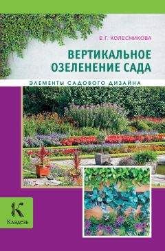 Елена Колесникова - Вертикальное озеленение - Читать 📖 Читать онлайн 👀 Читаемые книги читать онлайн бесплатно 🔥 booksread-online.com