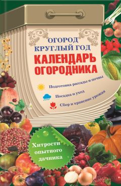 Василий Борщ - Огород круглый год: календарь огородника - Читать 📖 Читать онлайн 👀 Читаемые книги читать онлайн бесплатно 🔥 booksread-online.com