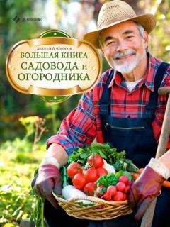 Анатолий Миронов - Большая книга садовода и огородника - Читать 📖 Читать онлайн 👀 Читаемые книги читать онлайн бесплатно 🔥 booksread-online.com