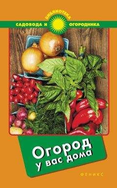 С. Калюжный - Огород у вас дома - Читать 📖 Читать онлайн 👀 Читаемые книги читать онлайн бесплатно 🔥 booksread-online.com