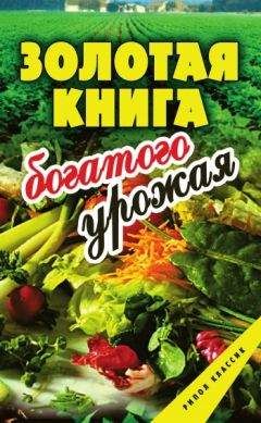 Сергей Самсонов - Золотая книга богатого урожая - Читать 📖 Читать онлайн 👀 Читаемые книги читать онлайн бесплатно 🔥 booksread-online.com