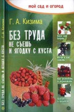 Галина Кизима - Без труда не съешь и ягодку с куста - Читать 📖 Читать онлайн 👀 Читаемые книги читать онлайн бесплатно 🔥 booksread-online.com