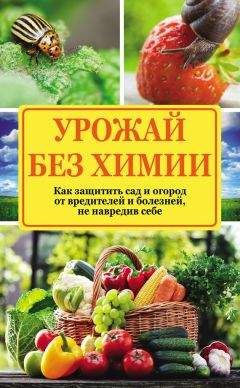 Надежда Севостьянова - Урожай без химии. Как защитить сад и огород от вредителей и болезней, не навредив себе - Читать 📖 Читать онлайн 👀 Читаемые книги читать онлайн бесплатно 🔥 booksread-online.com