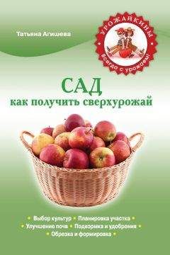 Татьяна Агишева - Сад. Как получить сверхурожай - Читать 📖 Читать онлайн 👀 Читаемые книги читать онлайн бесплатно 🔥 booksread-online.com