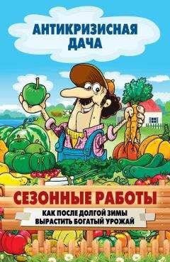 Сергей Кашин - Сезонные работы. Как после долгой зимы вырастить богатый урожай - Читать 📖 Читать онлайн 👀 Читаемые книги читать онлайн бесплатно 🔥 booksread-online.com