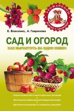 Анна Гаврилова - Сад и огород. Как вырастить за один сезон - Читать 📖 Читать онлайн 👀 Читаемые книги читать онлайн бесплатно 🔥 booksread-online.com