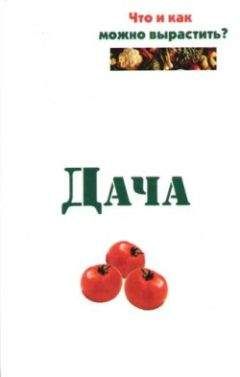 Евгений Банников - Дача. Что и как можно вырастить? - Читать 📖 Читать онлайн 👀 Читаемые книги читать онлайн бесплатно 🔥 booksread-online.com