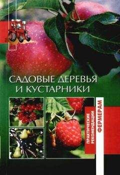Оксана Петросян - Садовые деревья и кустарники - Читать 📖 Читать онлайн 👀 Читаемые книги читать онлайн бесплатно 🔥 booksread-online.com
