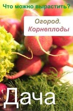 Илья Мельников - Огород. Корнеплоды. Что можно вырастить? - Читать 📖 Читать онлайн 👀 Читаемые книги читать онлайн бесплатно 🔥 booksread-online.com