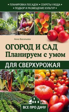 Анна Васильева - Огород и сад. Планируем с умом для сверхурожая - Читать 📖 Читать онлайн 👀 Читаемые книги читать онлайн бесплатно 🔥 booksread-online.com
