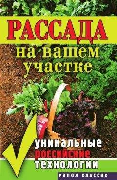 Светлана Ермакова - Рассада на вашем участке. Уникальные российские технологии - Читать 📖 Читать онлайн 👀 Читаемые книги читать онлайн бесплатно 🔥 booksread-online.com