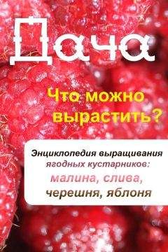 Илья Мельников - Что можно вырастить? Энциклопедия выращивания ягодных кустарников: малина, слива, черешня, яблоня - Читать 📖 Читать онлайн 👀 Читаемые книги читать онлайн бесплатно 🔥 booksread-online.com