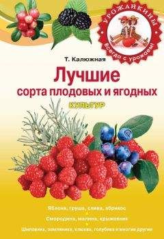 Татьяна Калюжная - Лучшие сорта плодовых и ягодных культур - Читать 📖 Читать онлайн 👀 Читаемые книги читать онлайн бесплатно 🔥 booksread-online.com