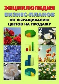 Павел Шешко - Энциклопедия бизнес-планов по выращиванию цветов на продажу - Читать 📖 Читать онлайн 👀 Читаемые книги читать онлайн бесплатно 🔥 booksread-online.com