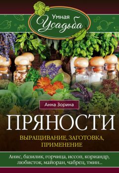 Анна Зорина - Пряности. Выращивание, заготовка, применение - Читать 📖 Читать онлайн 👀 Читаемые книги читать онлайн бесплатно 🔥 booksread-online.com