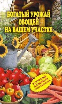 Светлана Чебаева - Богатый урожай овощей на вашем участке. В помощь любимым огородникам! - Читать 📖 Читать онлайн 👀 Читаемые книги читать онлайн бесплатно 🔥 booksread-online.com