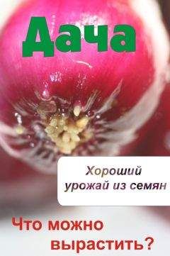 Илья Мельников - Что можно вырастить? Хороший урожай из семян - Читать 📖 Читать онлайн 👀 Читаемые книги читать онлайн бесплатно 🔥 booksread-online.com
