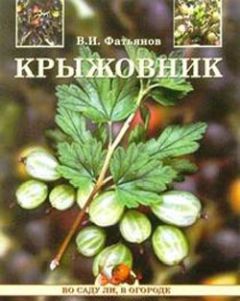 Владислав Фатьянов - Крыжовник - Читать 📖 Читать онлайн 👀 Читаемые книги читать онлайн бесплатно 🔥 booksread-online.com