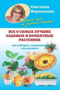 Светлана Королькова - Все о самых лучших садовых и комнатных растениях. Как выбирать, выращивать и размножать - Читать 📖 Читать онлайн 👀 Читаемые книги читать онлайн бесплатно 🔥 booksread-online.com