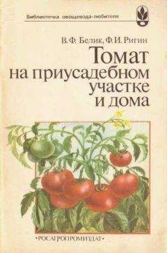 Владимир Белик - Томат на приусадебном участке и дома - Читать 📖 Читать онлайн 👀 Читаемые книги читать онлайн бесплатно 🔥 booksread-online.com