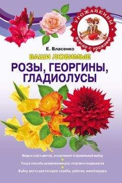 Елена Власенко - Ваши любимые розы, георгины, гладиолусы - Читать 📖 Читать онлайн 👀 Читаемые книги читать онлайн бесплатно 🔥 booksread-online.com