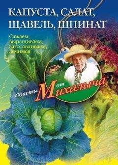 Николай Звонарев - Капуста, салат, щавель, шпинат. Сажаем, выращиваем, заготавливаем, лечимся - Читать 📖 Читать онлайн 👀 Читаемые книги читать онлайн бесплатно 🔥 booksread-online.com