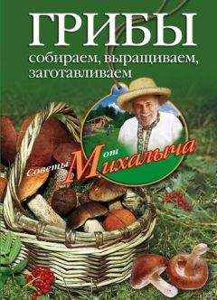 Николай Звонарев - Грибы. Собираем, выращиваем, заготавливаем - Читать 📖 Читать онлайн 👀 Читаемые книги читать онлайн бесплатно 🔥 booksread-online.com