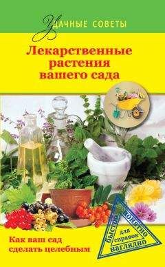 Ю. Херсонский - Лекарственные растения вашего сада - Читать 📖 Читать онлайн 👀 Читаемые книги читать онлайн бесплатно 🔥 booksread-online.com