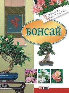 Мария Згурская - Бонсай - Читать 📖 Читать онлайн 👀 Читаемые книги читать онлайн бесплатно 🔥 booksread-online.com