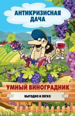 Сергей Кашин - Умный виноградник. Выгодно и легко - Читать 📖 Читать онлайн 👀 Читаемые книги читать онлайн бесплатно 🔥 booksread-online.com