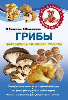 Светлана Ращупкина - Грибы. Выращиваем на своем участке - Читать 📖 Читать онлайн 👀 Читаемые книги читать онлайн бесплатно 🔥 booksread-online.com