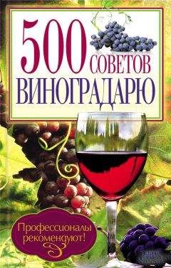 Юрий Бойчук - 500 советов виноградарю - Читать 📖 Читать онлайн 👀 Читаемые книги читать онлайн бесплатно 🔥 booksread-online.com