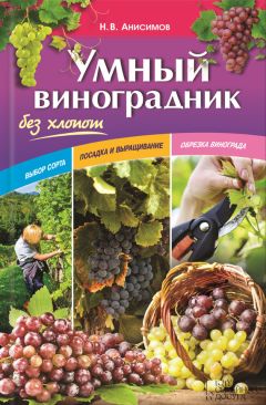 Николай Анисимов - Умный виноградник без хлопот - Читать 📖 Читать онлайн 👀 Читаемые книги читать онлайн бесплатно 🔥 booksread-online.com