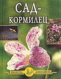 Иван Дубровин - Сад – кормилец - Читать 📖 Читать онлайн 👀 Читаемые книги читать онлайн бесплатно 🔥 booksread-online.com