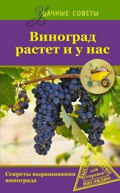 Юрий Загвоздин - Виноград растет и у нас - Читать 📖 Читать онлайн 👀 Читаемые книги читать онлайн бесплатно 🔥 booksread-online.com