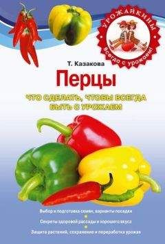 Татьяна Казакова - Перцы. Что сделать, чтобы всегда быть с урожаем - Читать 📖 Читать онлайн 👀 Читаемые книги читать онлайн бесплатно 🔥 booksread-online.com