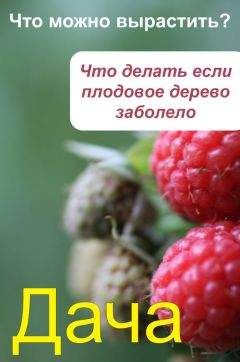 Илья Мельников - Что можно вырастить Что делать, если плодовое дерево заболело - Читать 📖 Читать онлайн 👀 Читаемые книги читать онлайн бесплатно 🔥 booksread-online.com