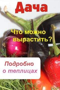 Илья Мельников - Что можно вырастить? Подробно о теплицах - Читать 📖 Читать онлайн 👀 Читаемые книги читать онлайн бесплатно 🔥 booksread-online.com