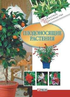 Татьяна Дорошенко - Плодоносящие растения - Читать 📖 Читать онлайн 👀 Читаемые книги читать онлайн бесплатно 🔥 booksread-online.com