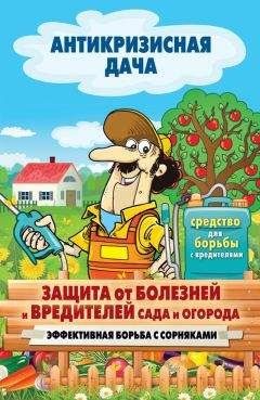 Сергей Кашин - Защита от болезней и вредителей сада и огорода. Эффективная борьба с сорняками - Читать 📖 Читать онлайн 👀 Читаемые книги читать онлайн бесплатно 🔥 booksread-online.com