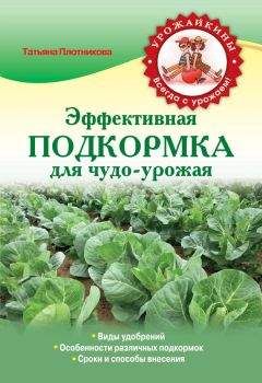 Татьяна Плотникова - Эффективная подкормка для чудо-урожая - Читать 📖 Читать онлайн 👀 Читаемые книги читать онлайн бесплатно 🔥 booksread-online.com