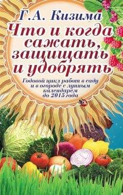 Галина Кизима - Что и когда сажать, защищать и удобрять. Годовой цикл работ с лунным календарем до 2015 года - Читать 📖 Читать онлайн 👀 Читаемые книги читать онлайн бесплатно 🔥 booksread-online.com