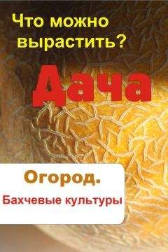 Илья Мельников - Что можно вырастить? Огород. Бахчевые культуры - Читать 📖 Читать онлайн 👀 Читаемые книги читать онлайн бесплатно 🔥 booksread-online.com