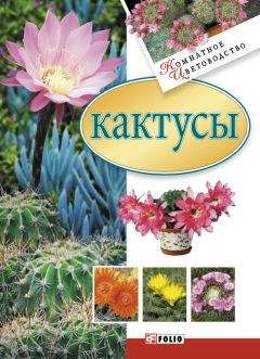 Мария Згурская - Кактусы - Читать 📖 Читать онлайн 👀 Читаемые книги читать онлайн бесплатно 🔥 booksread-online.com