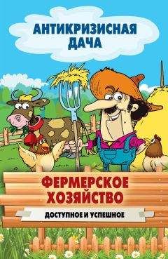 Сергей Кашин - Фермерское хозяйство. Доступное и успешное - Читать 📖 Читать онлайн 👀 Читаемые книги читать онлайн бесплатно 🔥 booksread-online.com