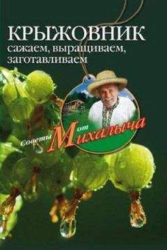 Николай Звонарев - Крыжовник. Сажаем, выращиваем, заготавливаем - Читать 📖 Читать онлайн 👀 Читаемые книги читать онлайн бесплатно 🔥 booksread-online.com